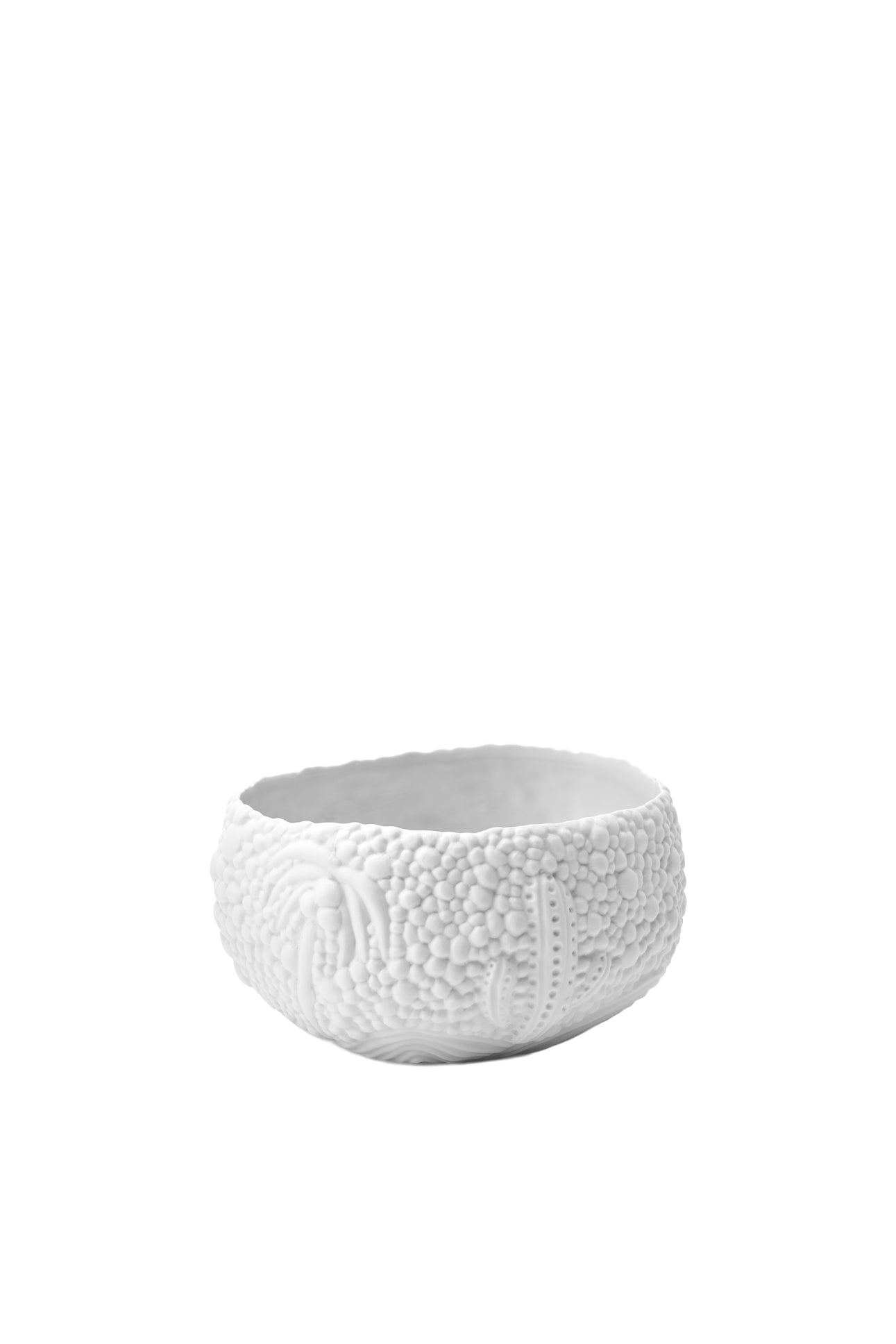 Petite coupe Haas Mojave en porcelaine - Blanc