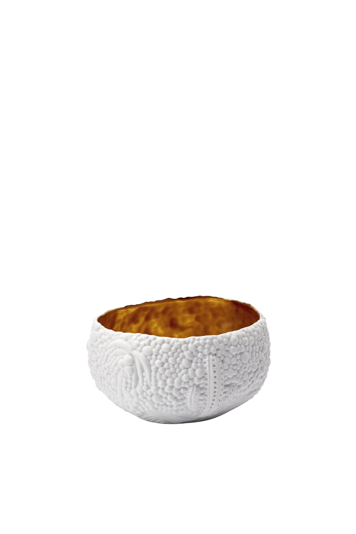 Petite coupe Haas Mojave en porcelaine - Blanc & Or