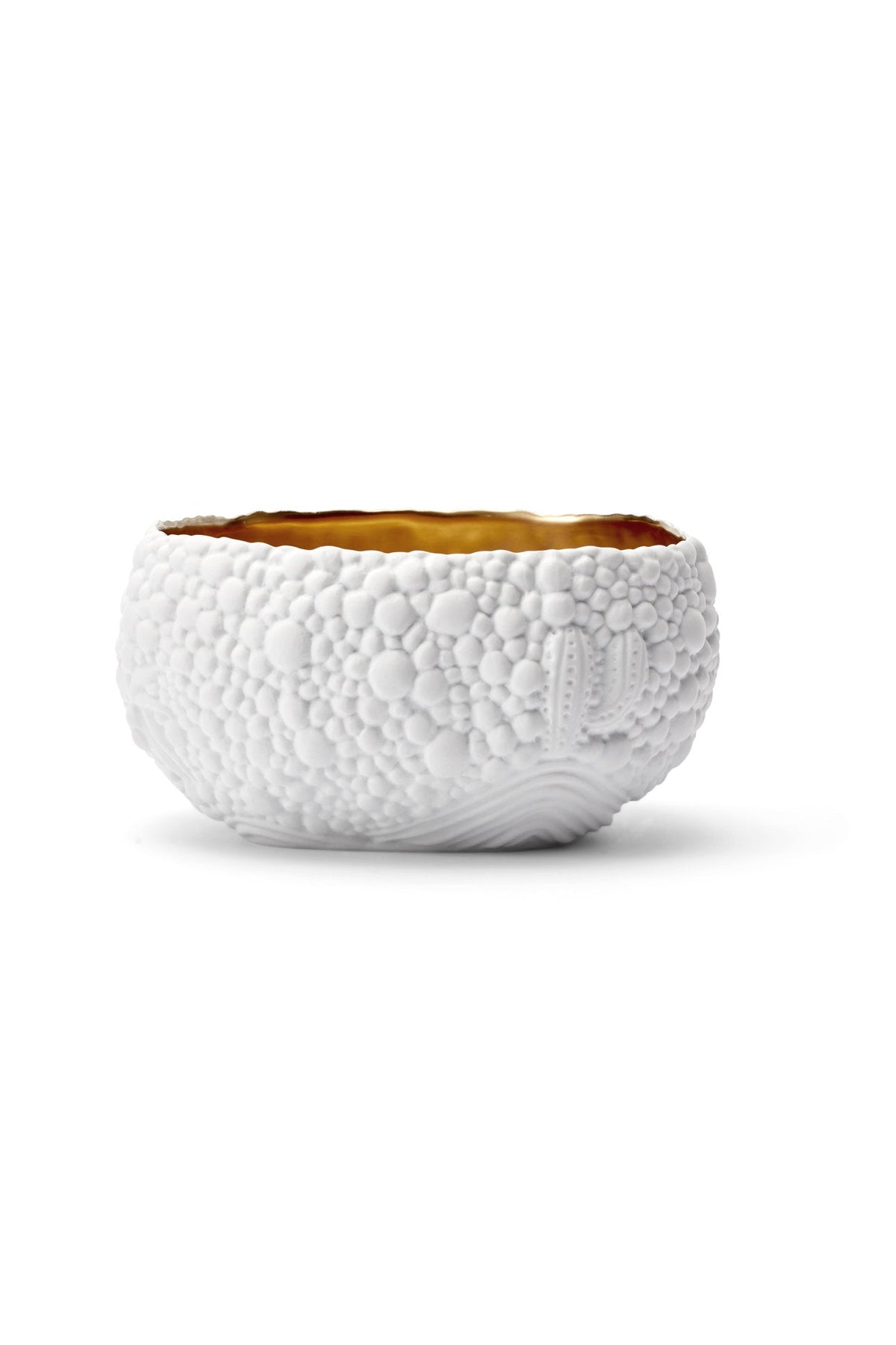 Petite coupe Haas Mojave en porcelaine - Blanc & Or