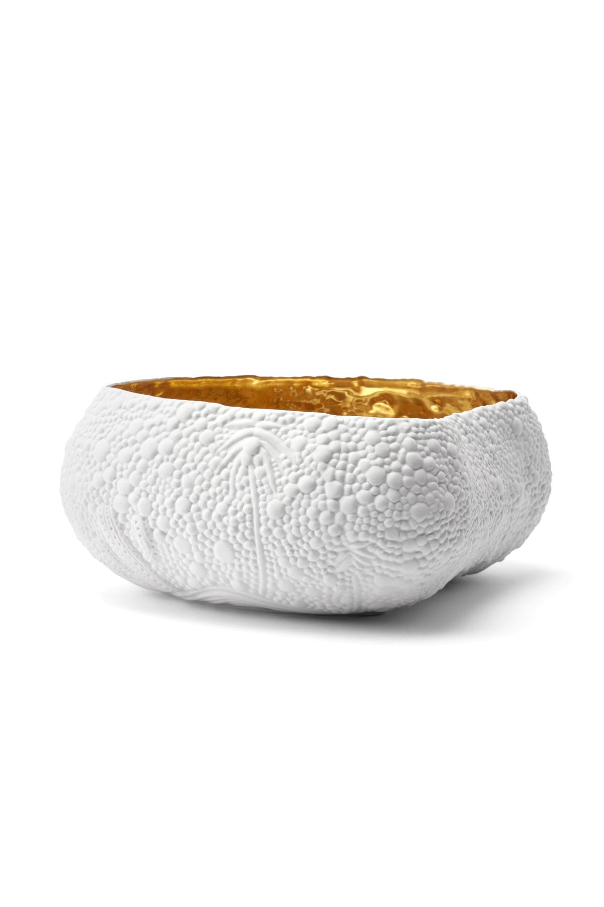 Haas Mojave Desert White+Gold Bowl-Lg