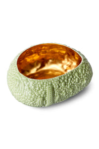 Bol Haas Mojave Desert Gold - Green & Gold