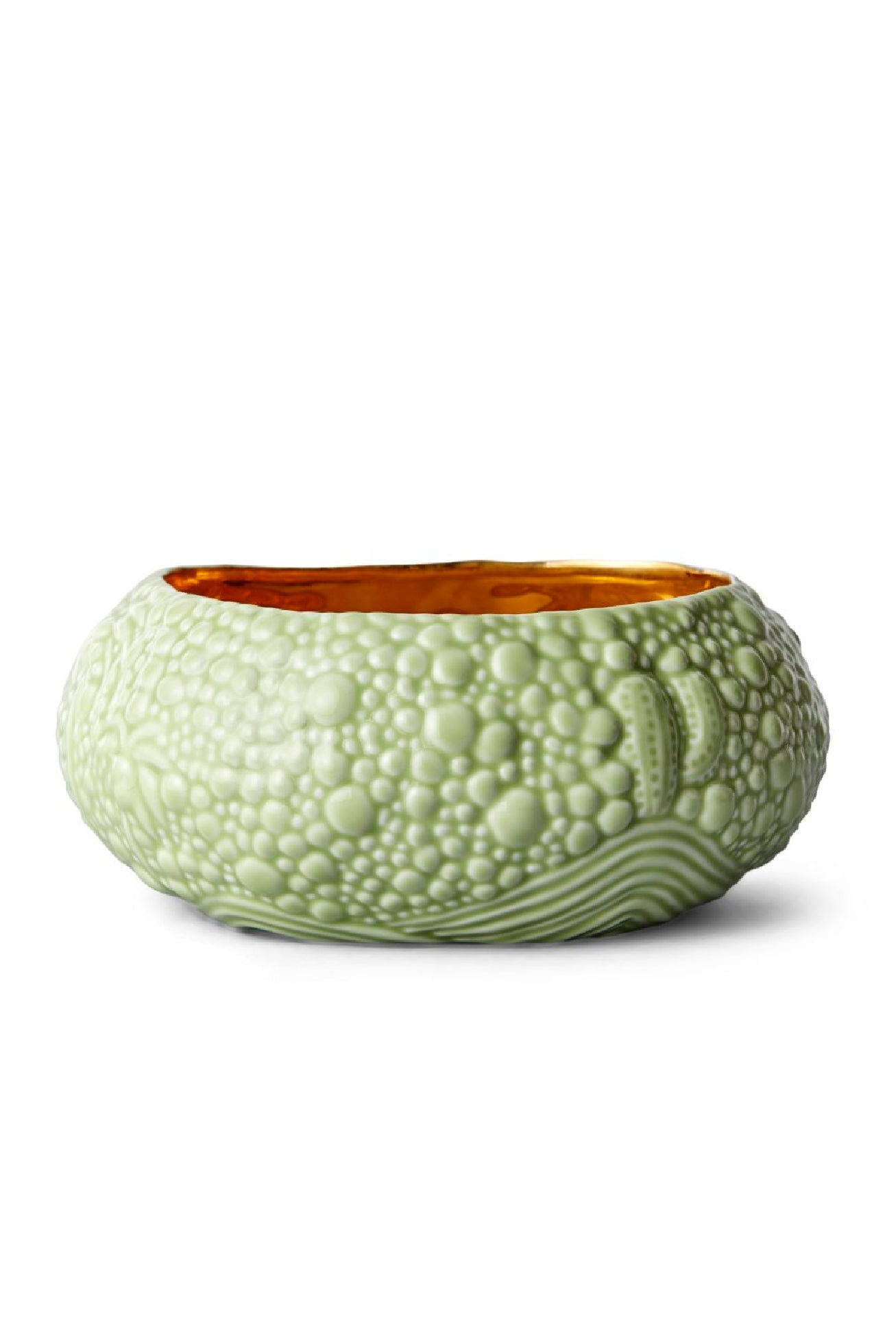 Bol Mojave Haas Brothers en porcelaine - Vert & Or