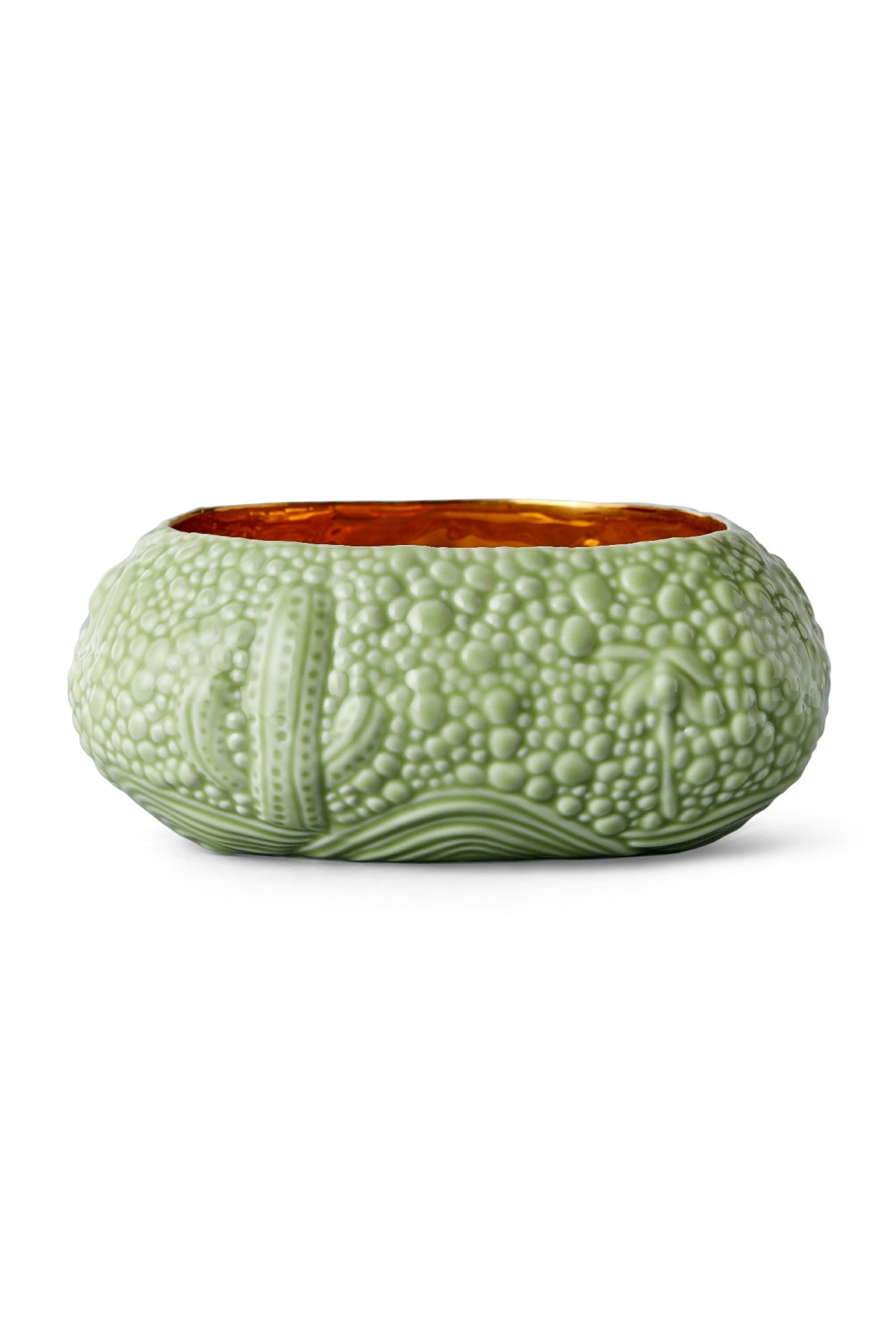 Bol Mojave Haas Brothers en porcelaine - Vert & Or