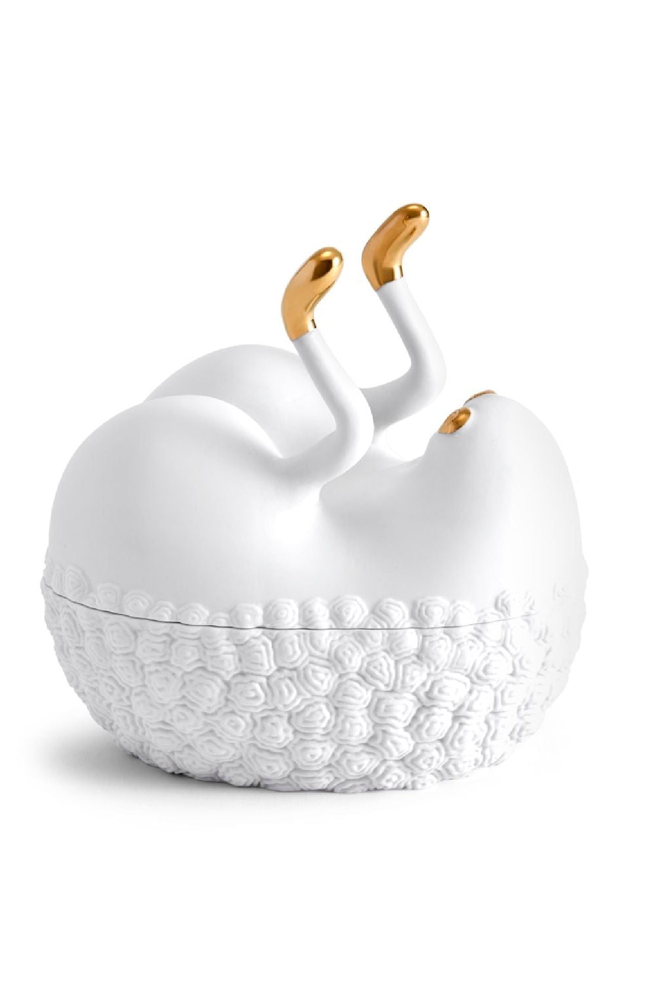 Boîte Haas Butts Up en or et porcelaine - White