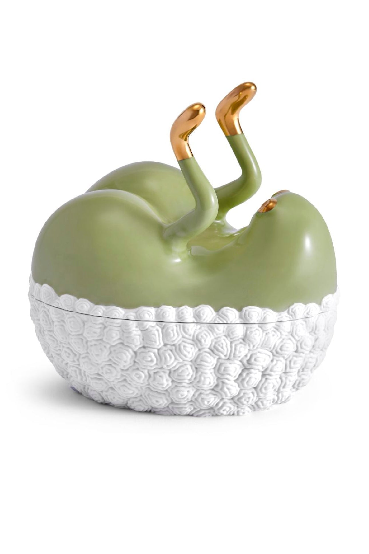 Boîte butts up Haas Brothers en porcelaine - Vert, Blanc & Or