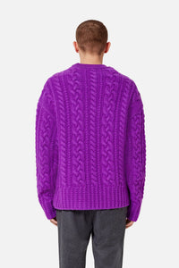 Pull col rond à torsades en laine - Purple