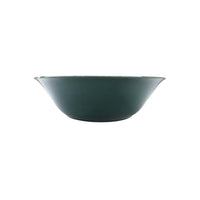 Saladier individuel Coco en porcelaine - Emeraude