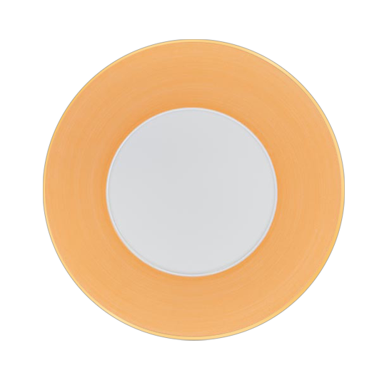 Assiette dîner / Dinner Plate