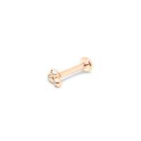 PIERCING ATTITUDE OR ROSE