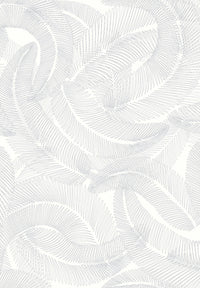 Rouleau Plumes - Anthracite