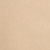 Beige Short - Beige