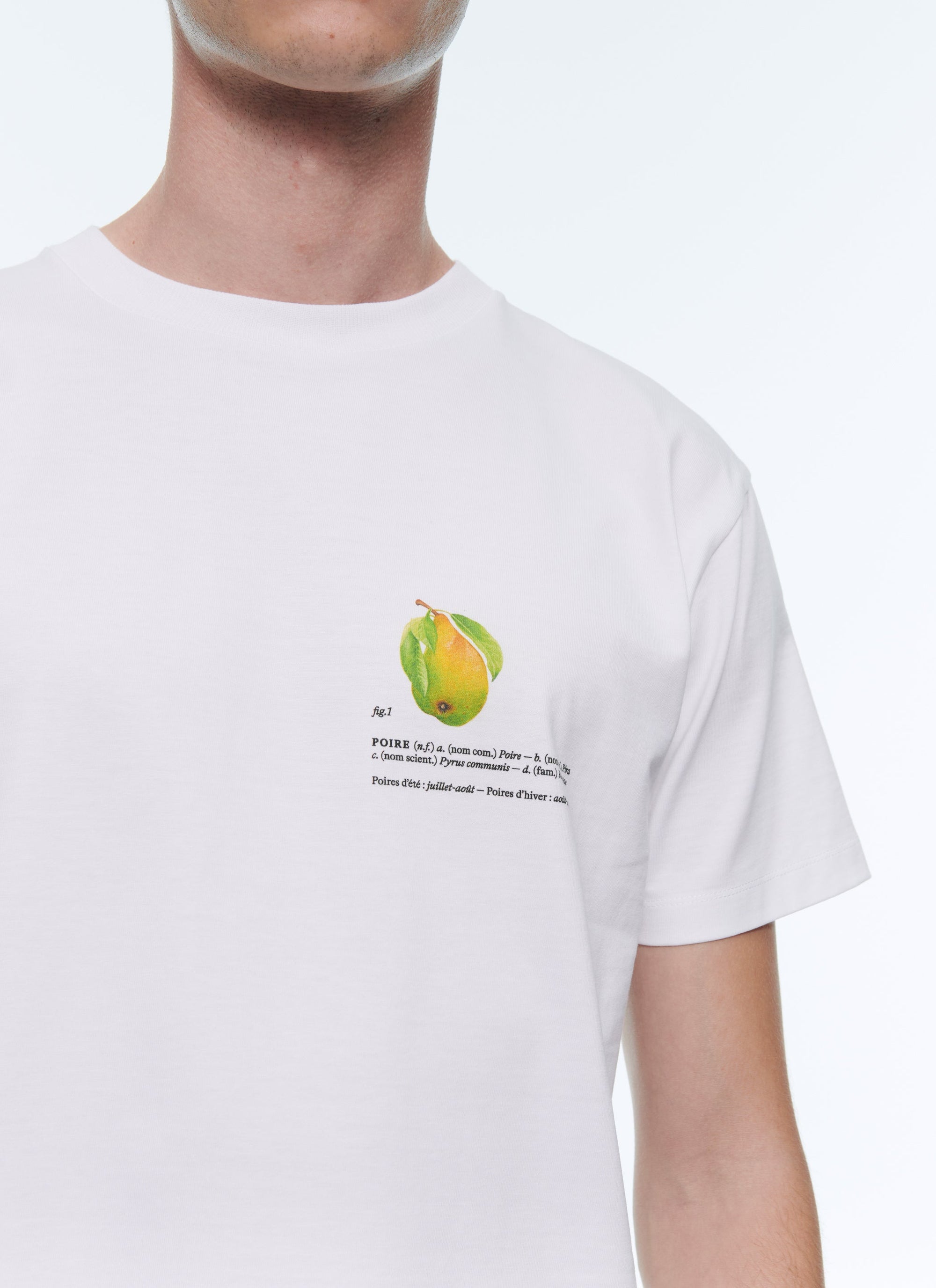 Pear print cotton T-shirt - White