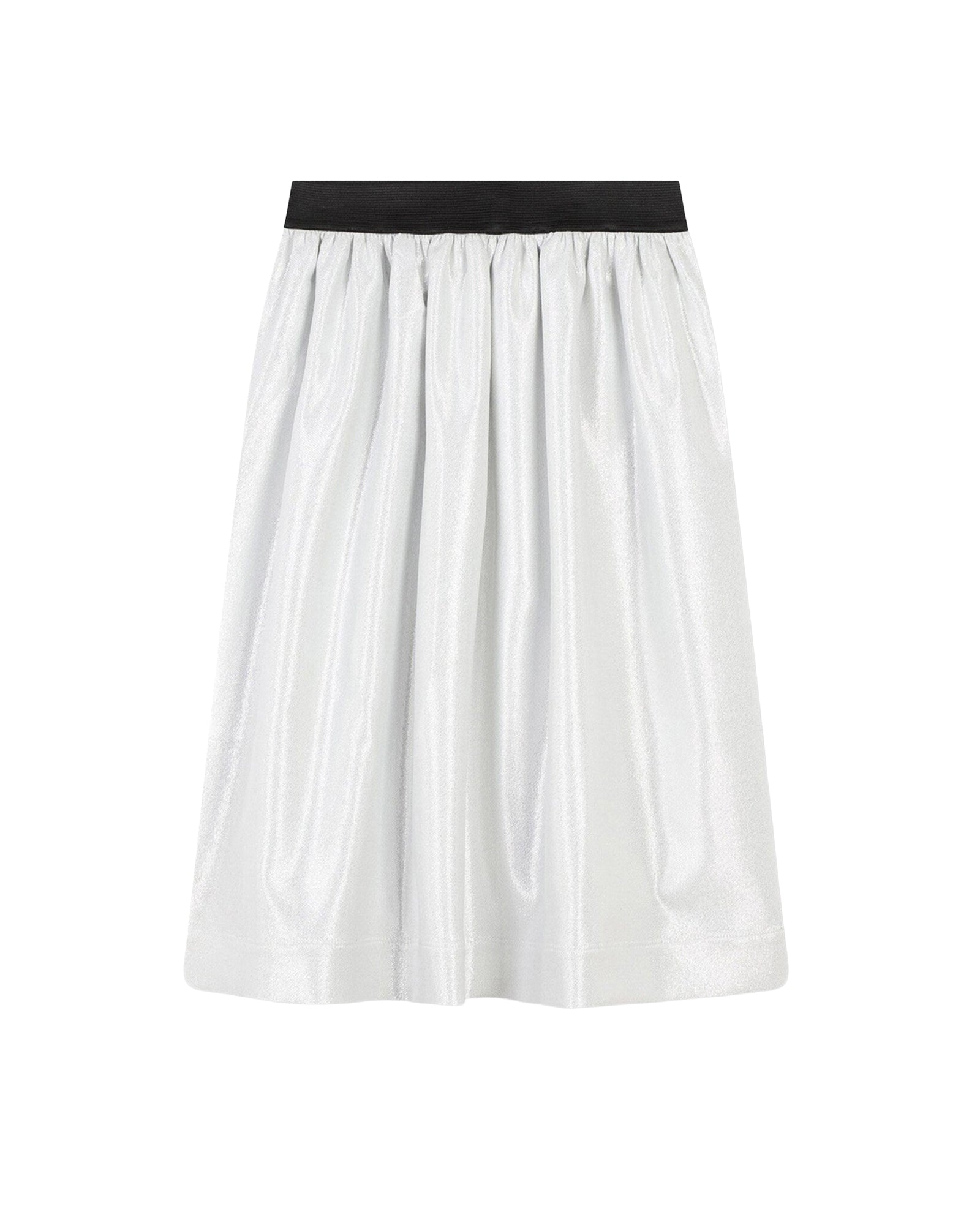 Long shiny skirt - Silver