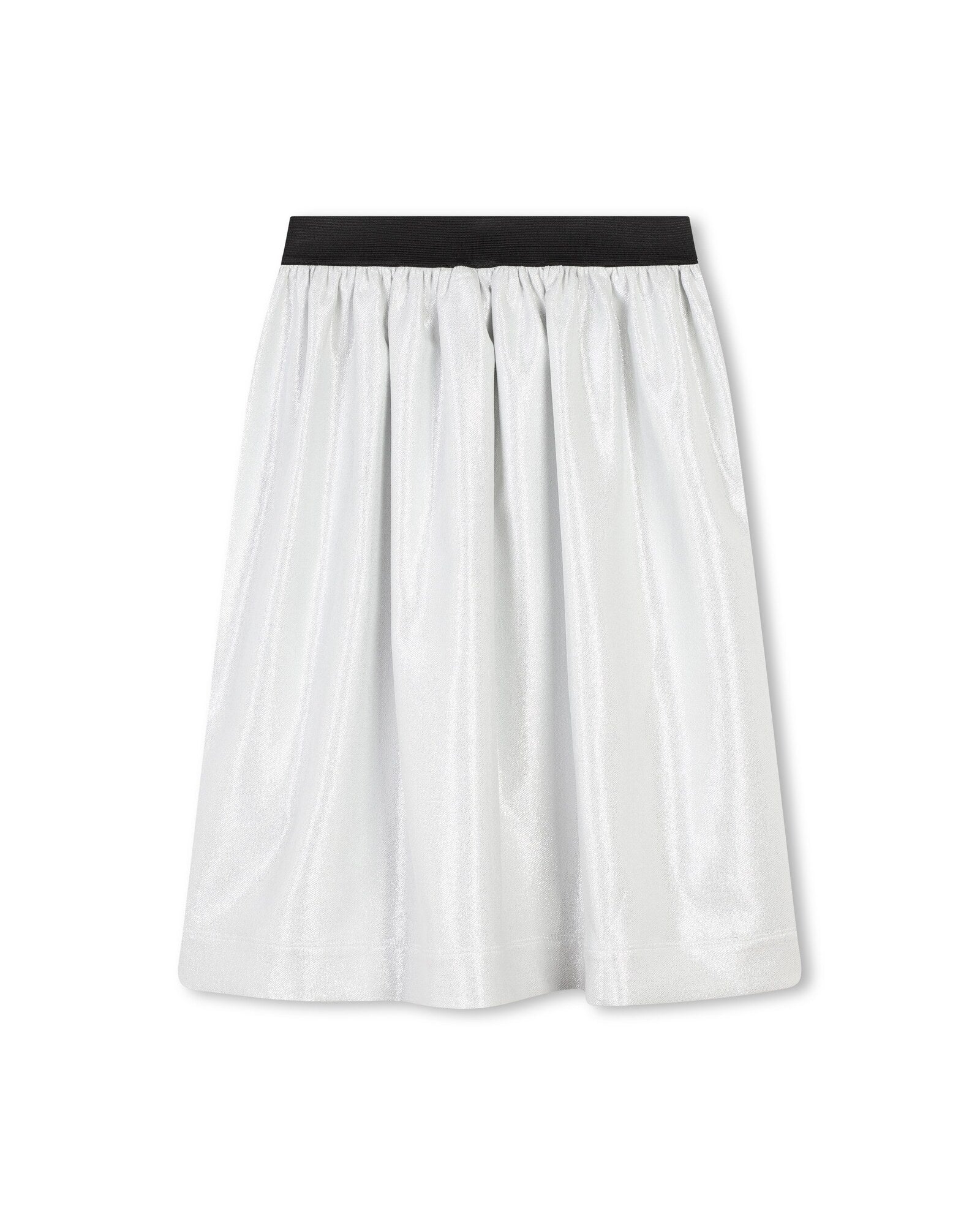 Long shiny skirt - Silver