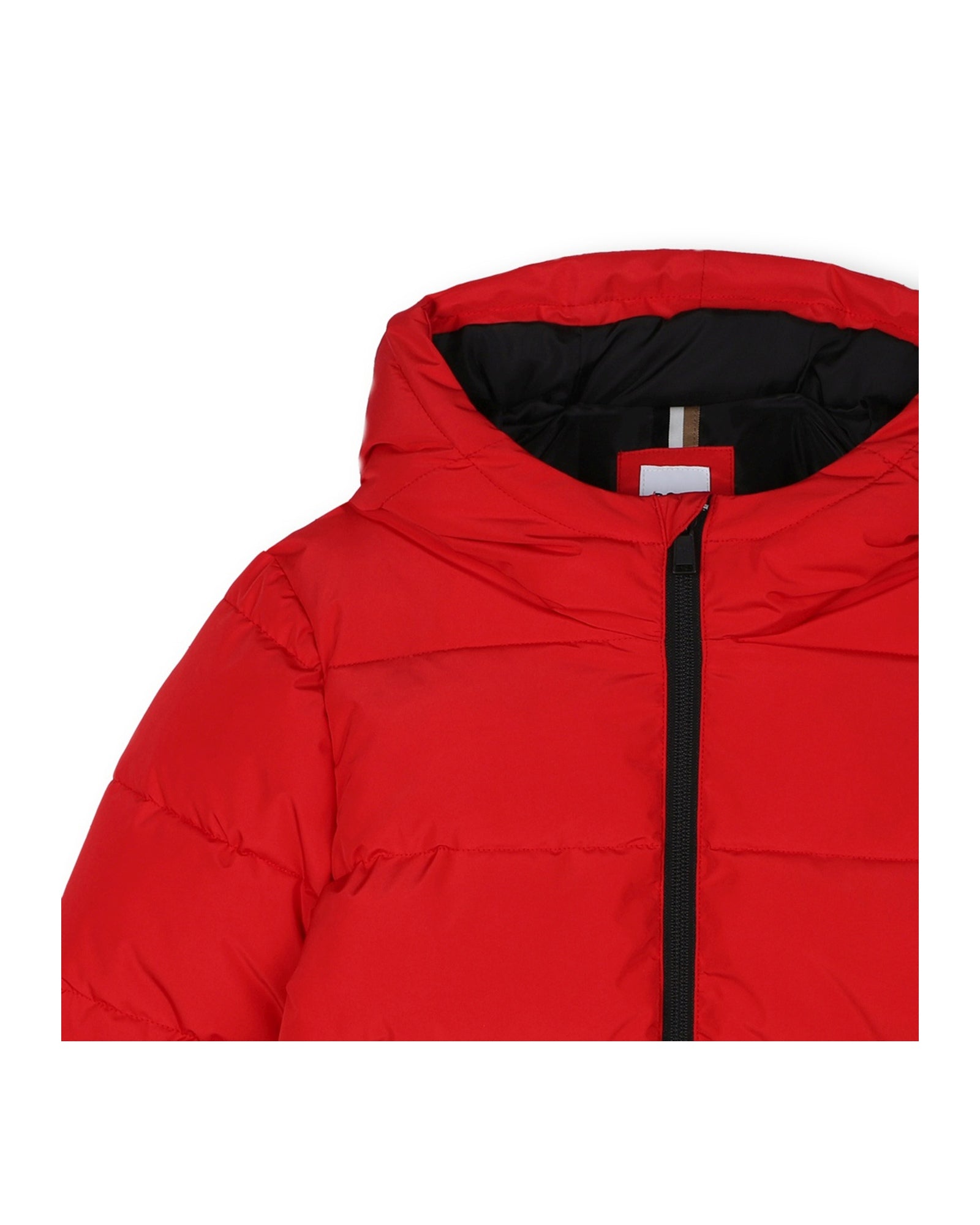 Hooded padded jacket - Piment