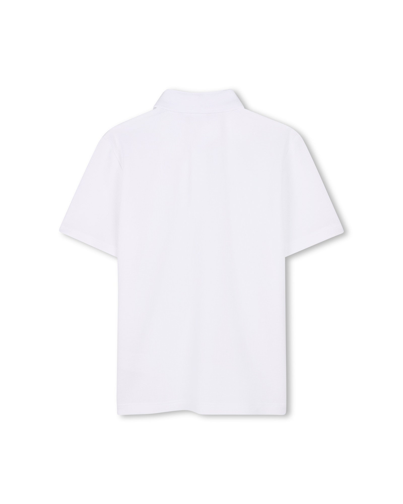 POLO MANCHES COURTES