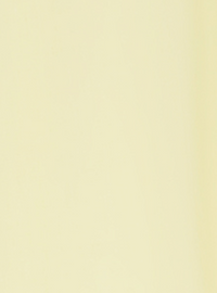 ZNOSTOCK_YELLOW ROBE CIGAR LONG - Yellow