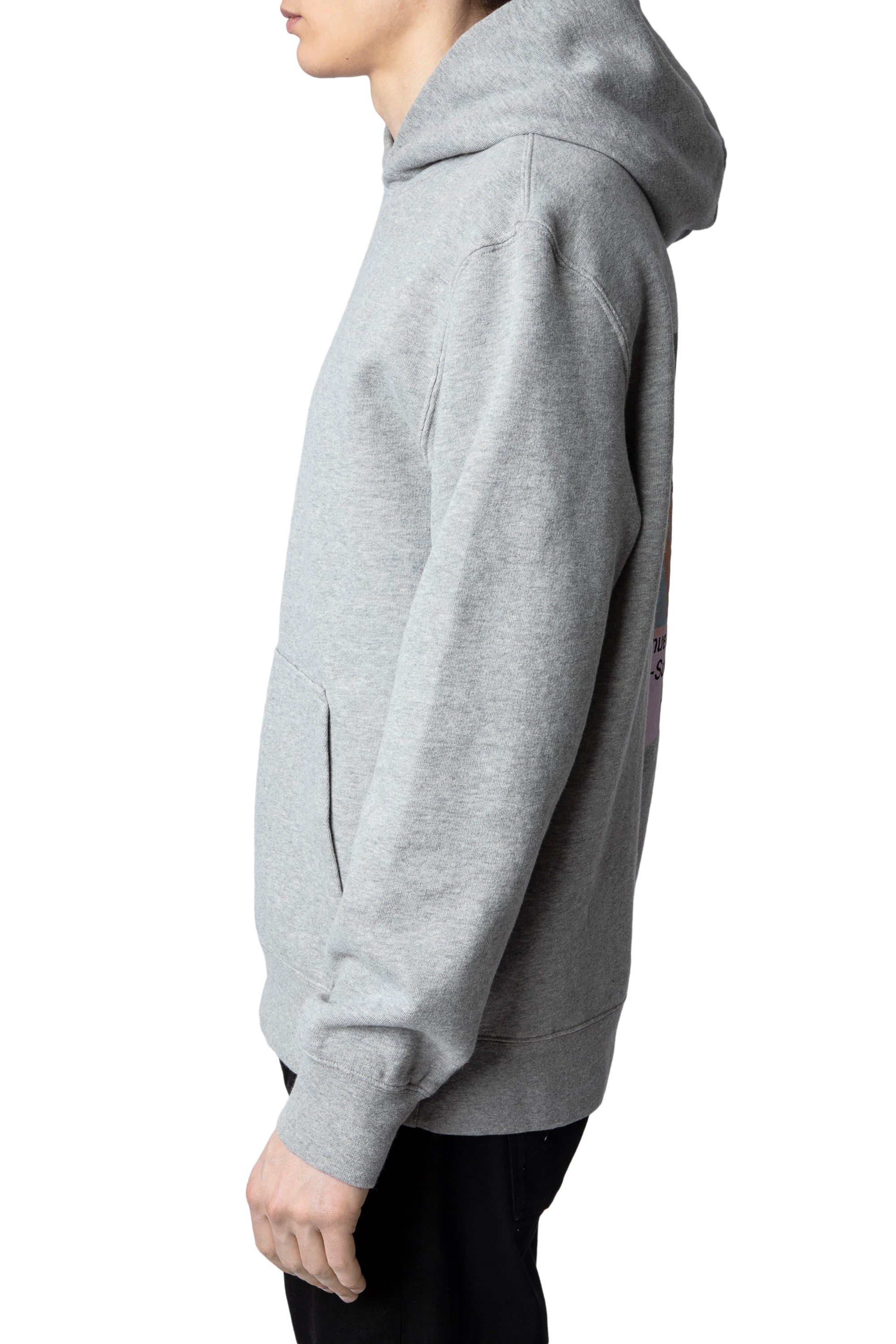 Sweat-shirt Sanchi Photoprint - Gris Chine