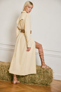 Brown / Baquiana Gladiator