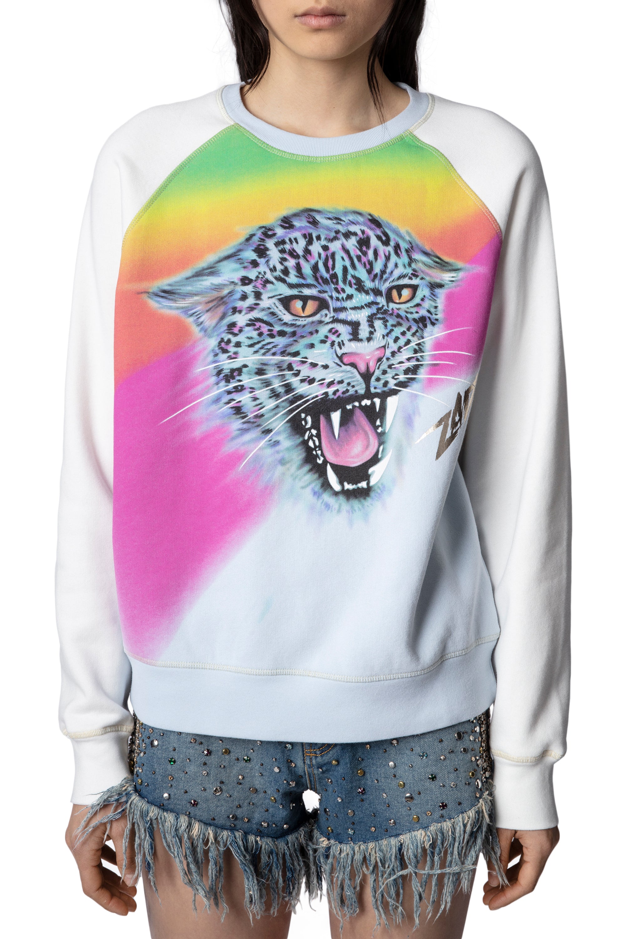 Upper Jaguar sweatshirt - Glacier