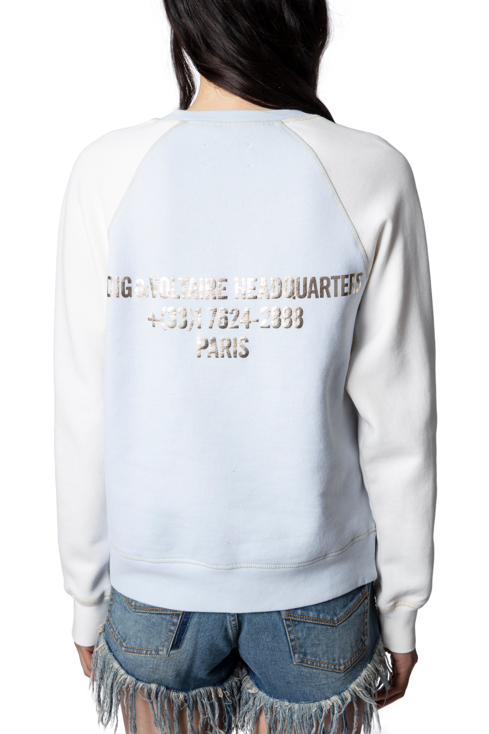 Upper Jaguar sweatshirt - Glacier