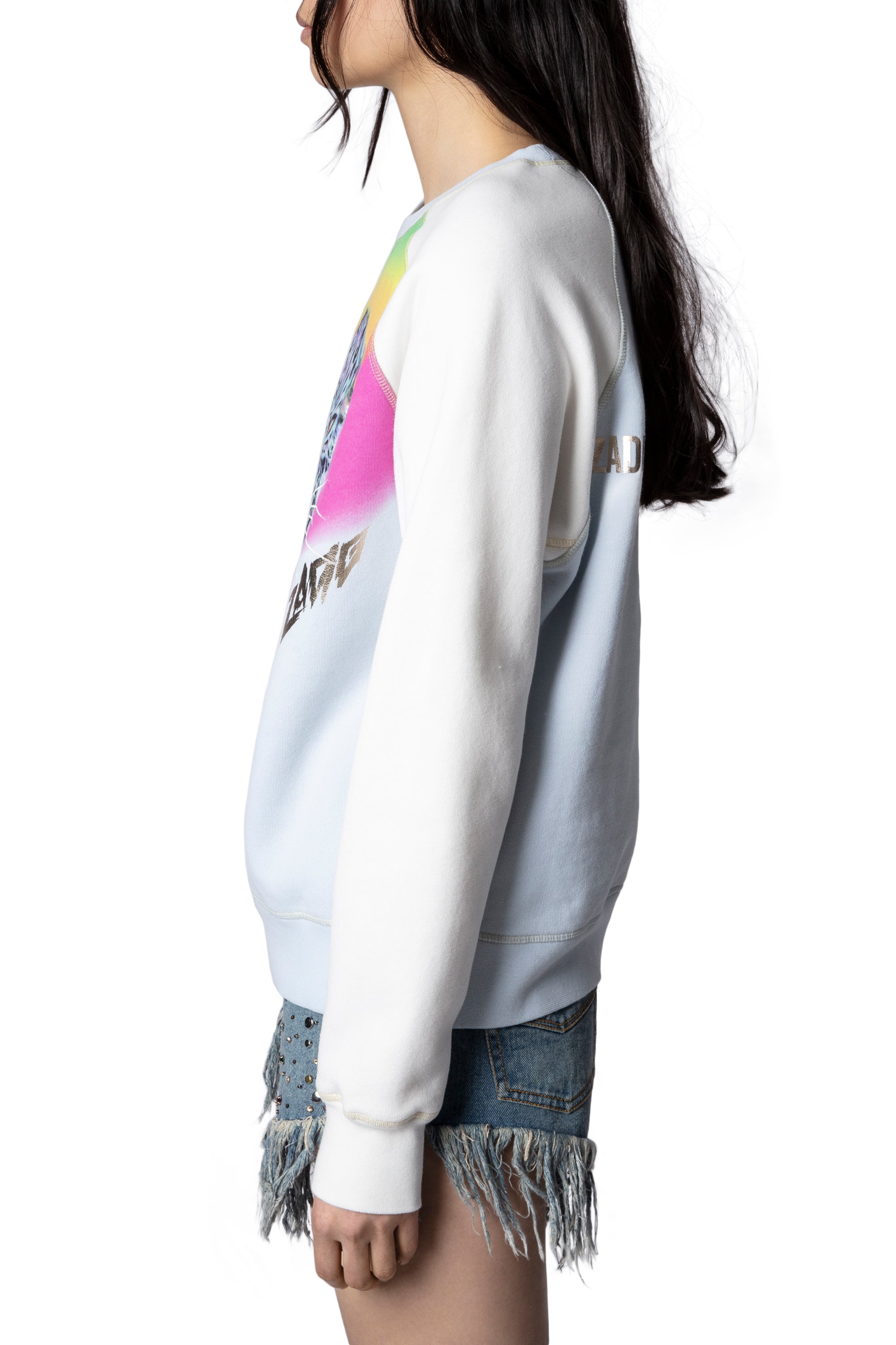 Upper Jaguar sweatshirt - Glacier