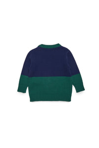 Pull à imprimé en laine - Bottle Green