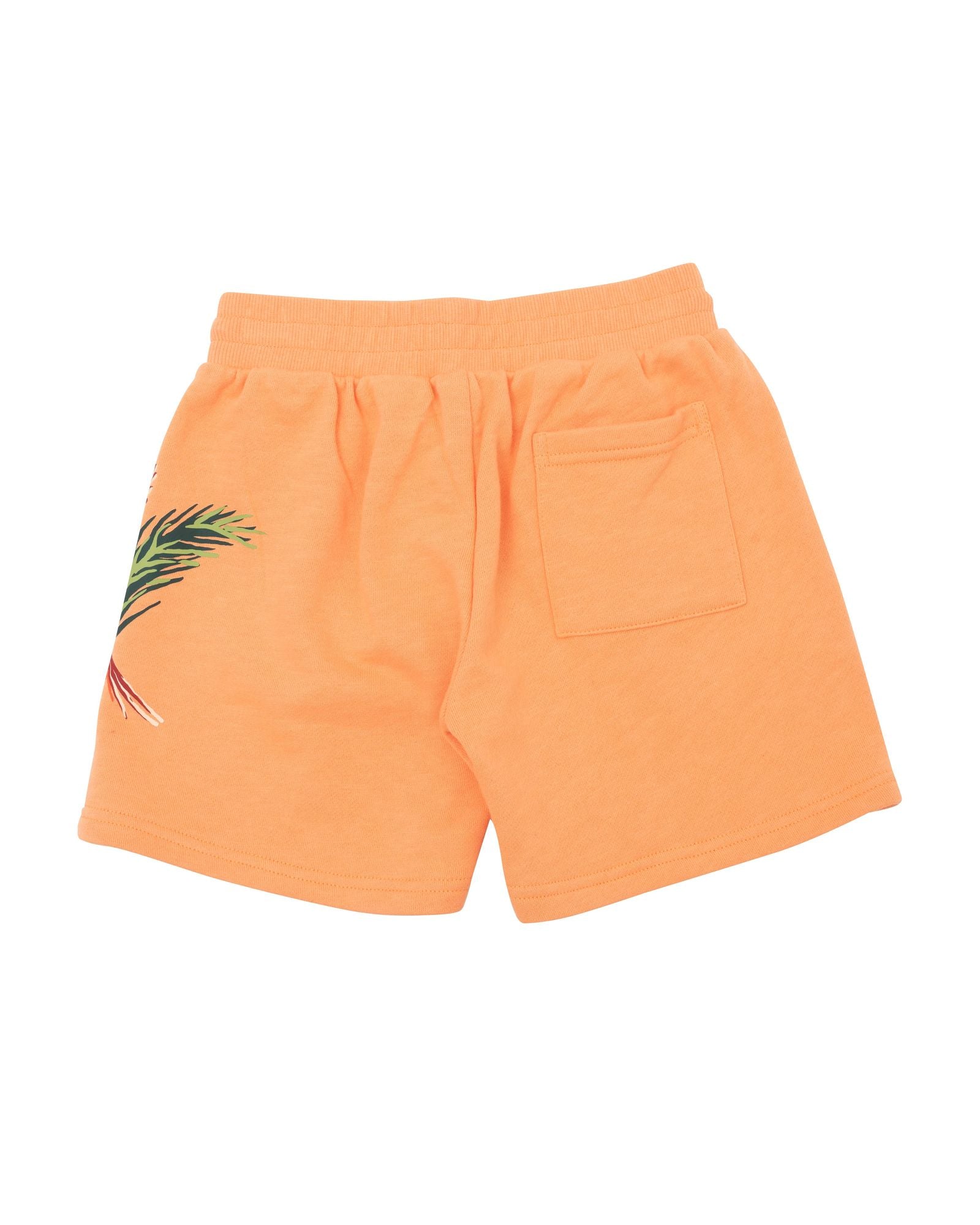 Short en coton - Mangue