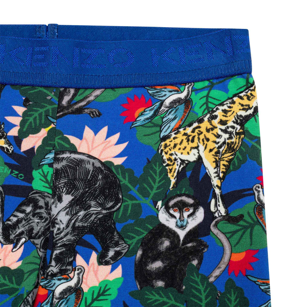 Legging imprimé Jungle girl - Wave Blue
