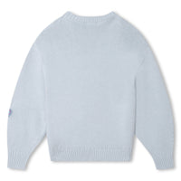 Pull manches longues tricoté - Bleu glacier