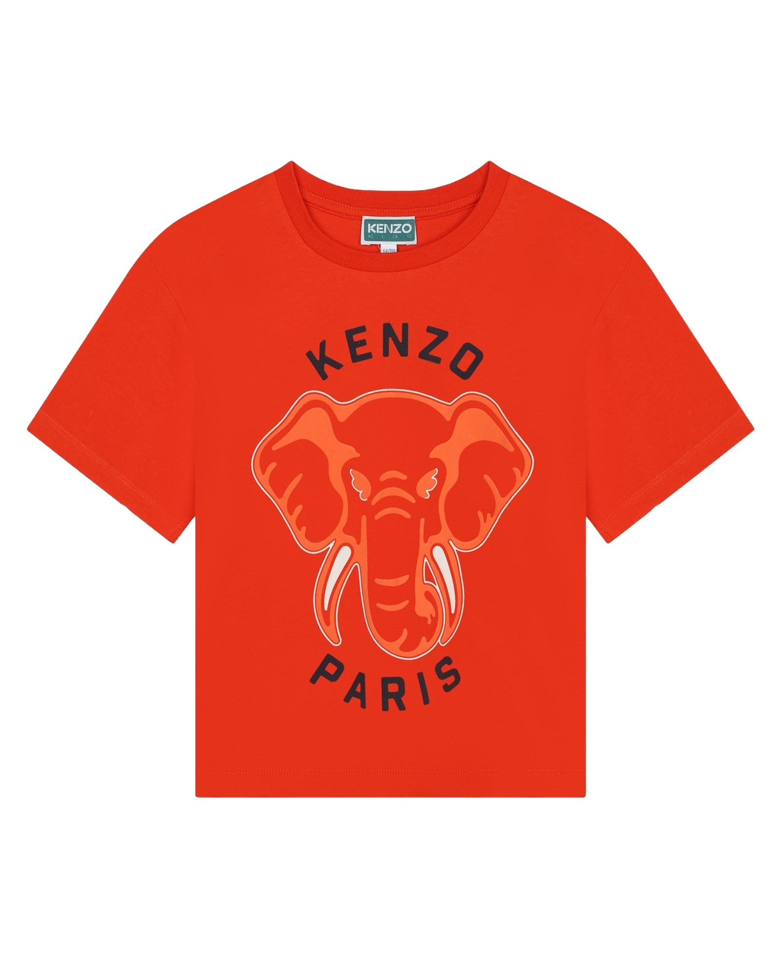 TEE-SHIRT MANCHES COURTES