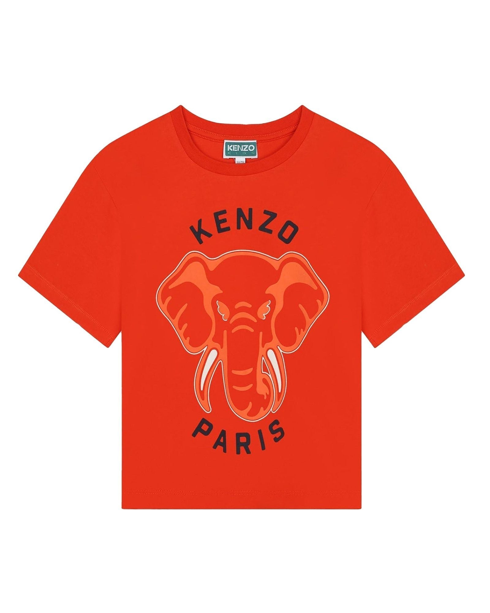 Short-sleeved cotton T-shirt - Vermilion red