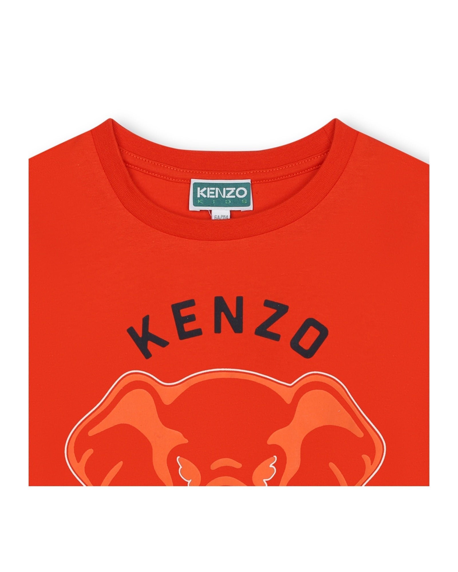 Short-sleeved cotton T-shirt - Vermilion red
