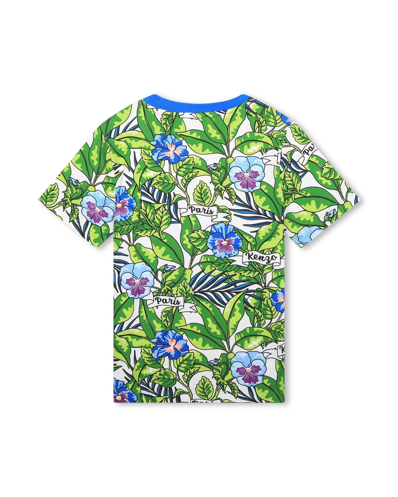 Short-sleeved cotton T-shirt - Mint green