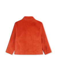 VESTE DE COSTUME