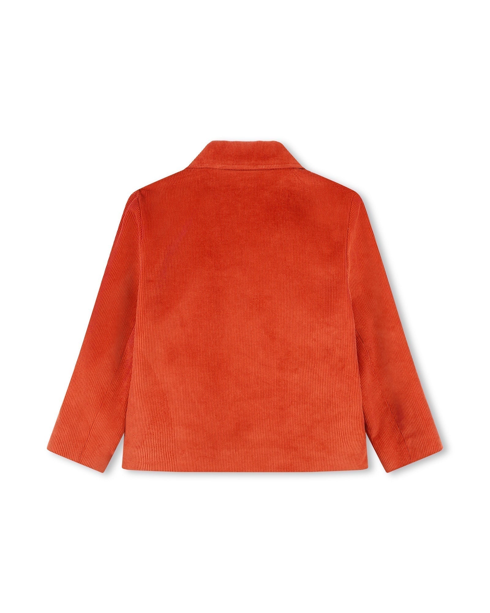 VESTE DE COSTUME