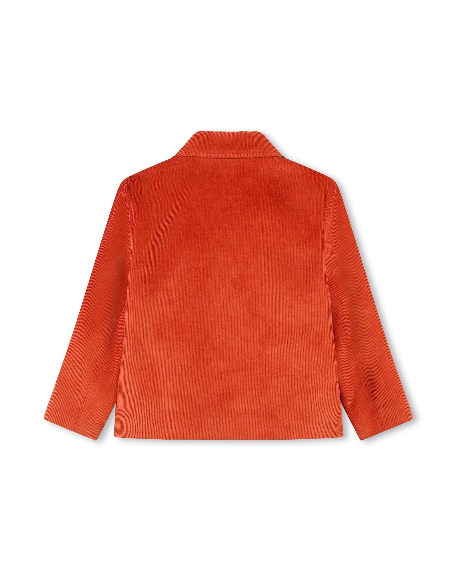 Veste de costume en velours côtelé - Vison