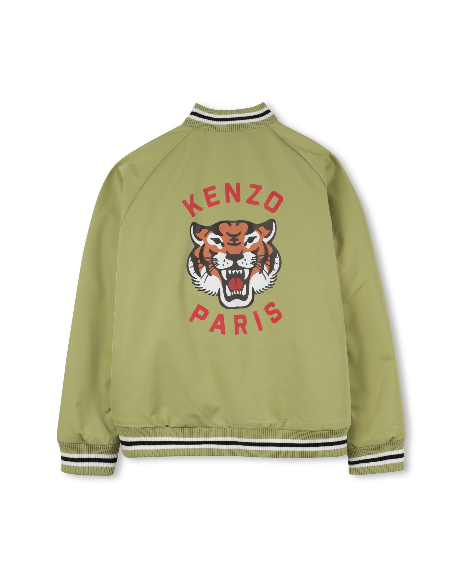 Teddy neck jacket - Fern