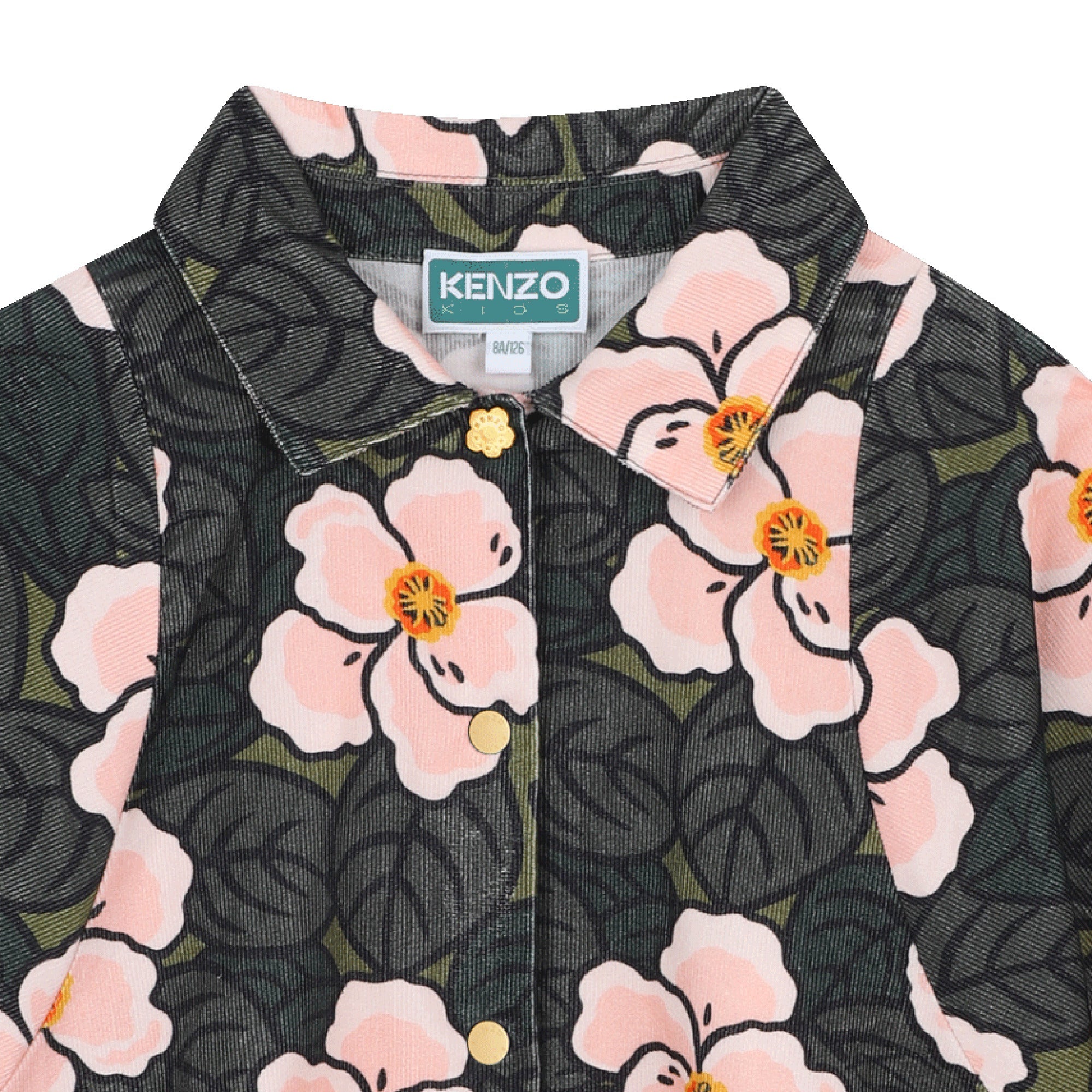 Blouse en velours - Hollywood
