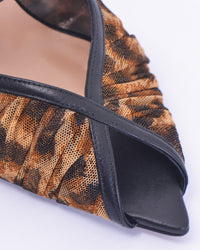 KATY LEOPARD