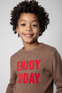 Pull Chris en laine - Brown