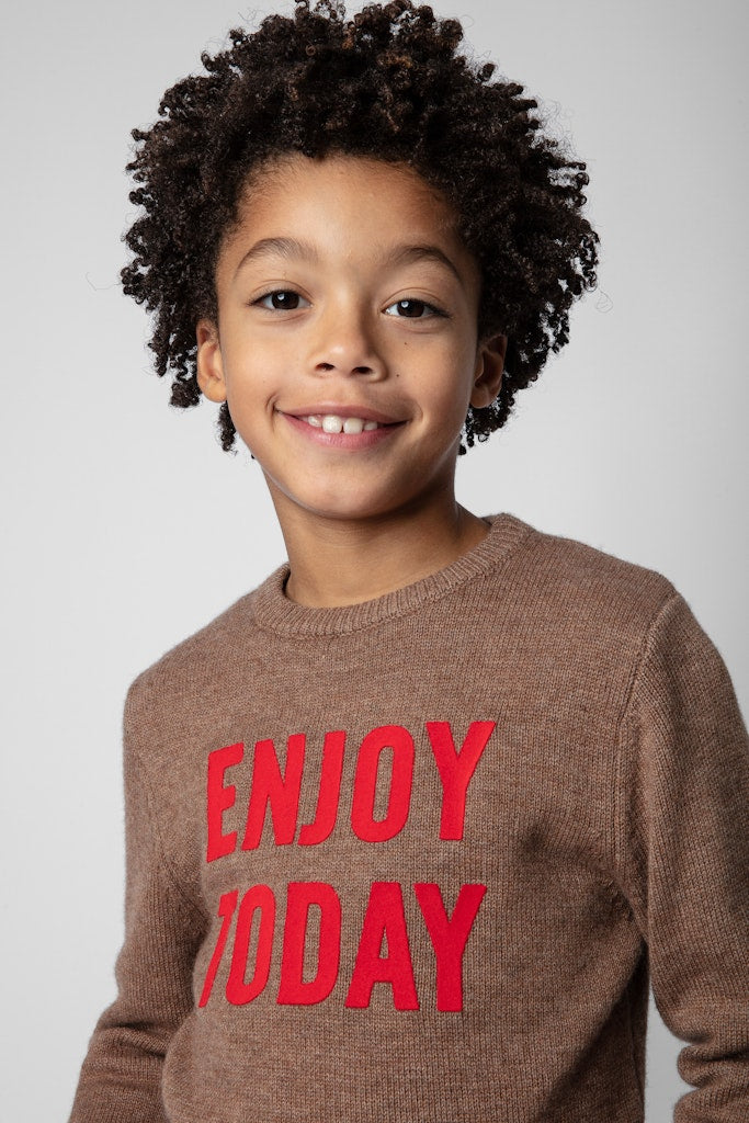 Pull Chris en laine - Brown