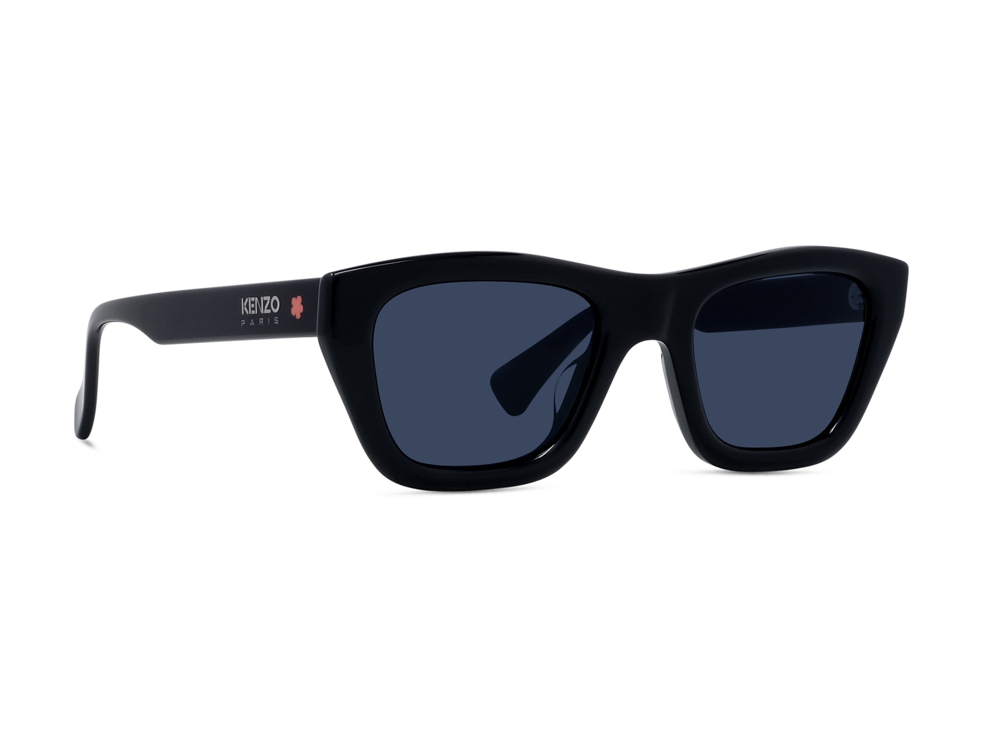 Sunglasses 1970 - Shiny Black  & Blue