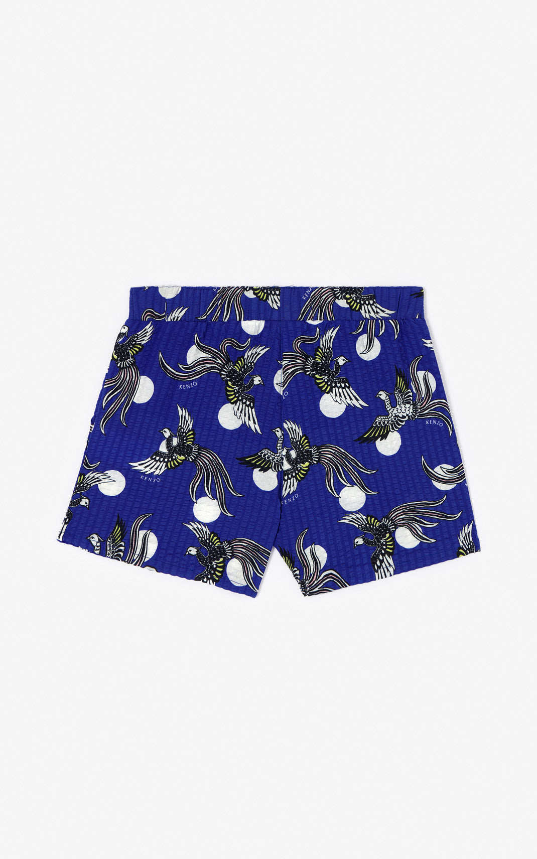 Short texturé Phoenix Celebration - Cobalt