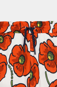 Short Poppy 'Capsule High Summer' - Cream