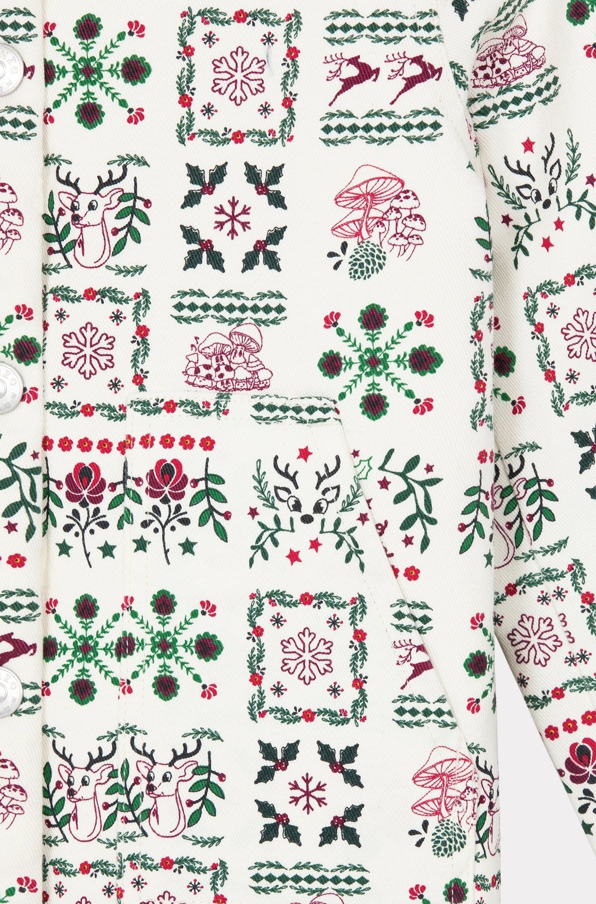 Festive printed jacket with fancy collar - Ecru
