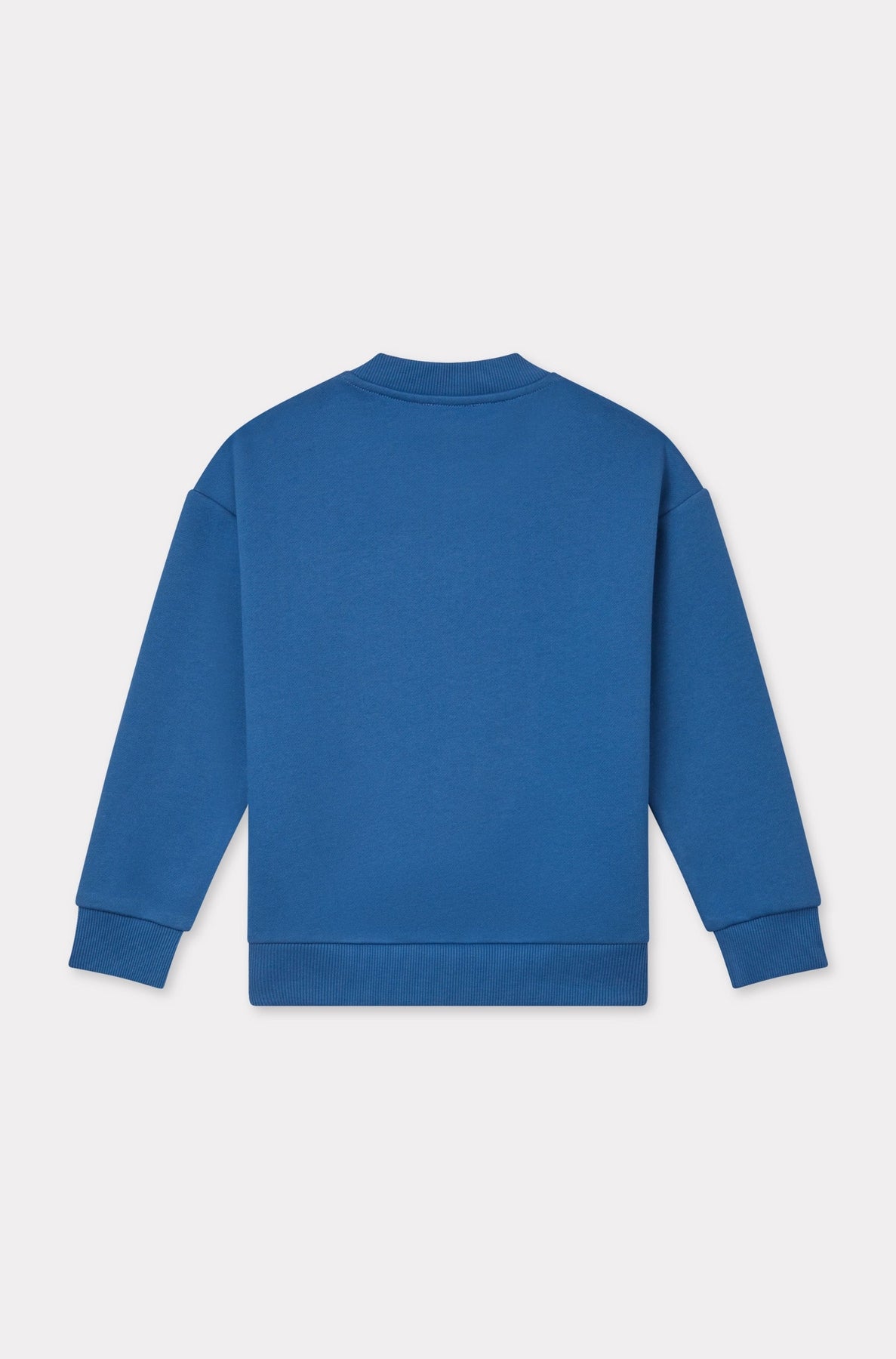 Embroidered sweatshirt - Blue