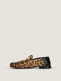 PONY WITH LEOPARD EFFECT: GIV LABEL