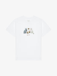SITTING CATS