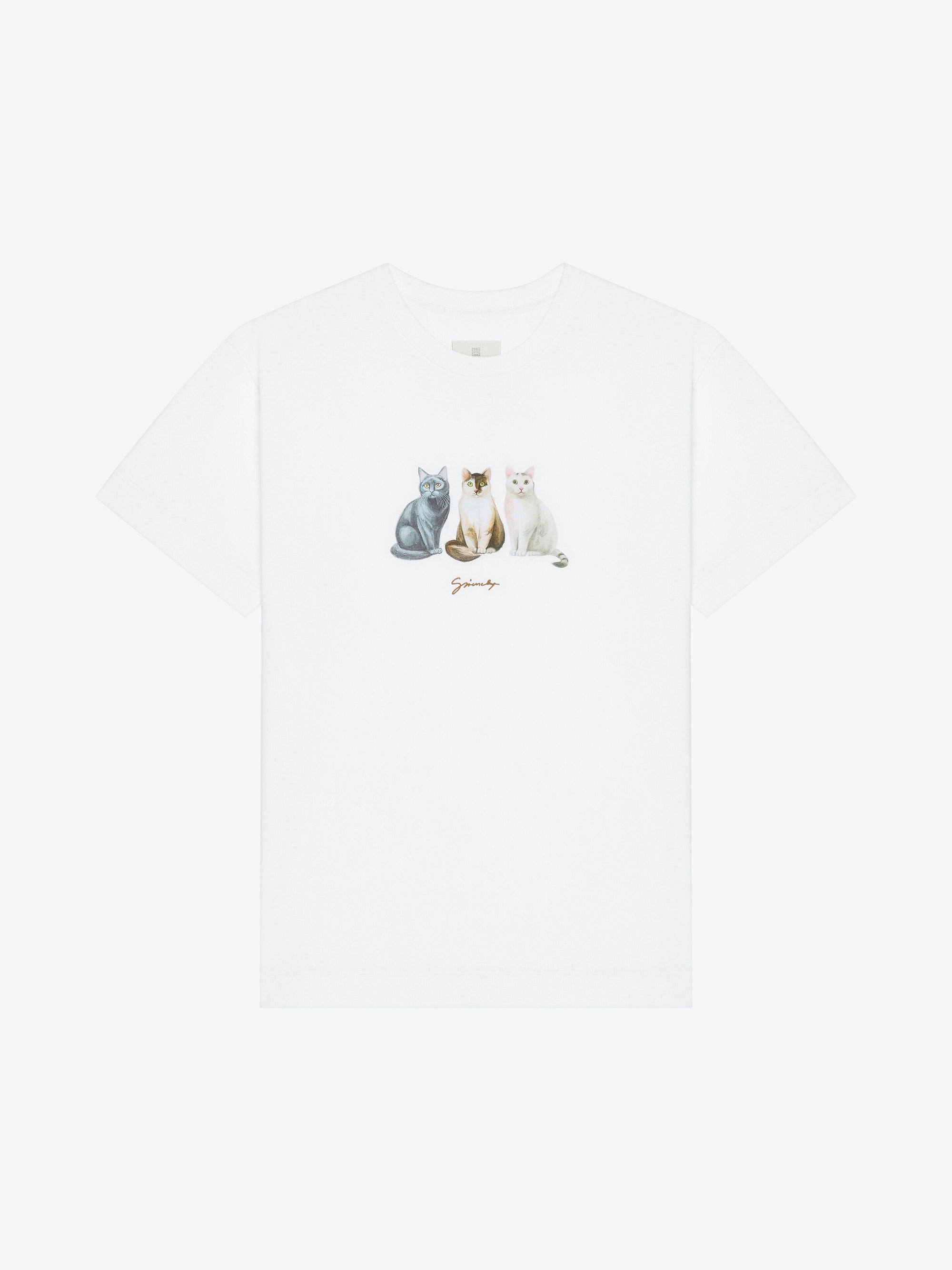 SITTING CATS